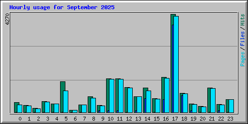 Hourly usage for September 2025