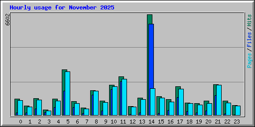 Hourly usage for November 2025