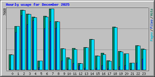Hourly usage for December 2025