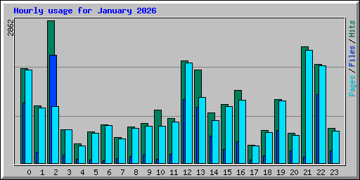 Hourly usage for January 2026